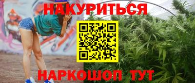 стафф Будённовск