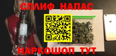 стафф Будённовск