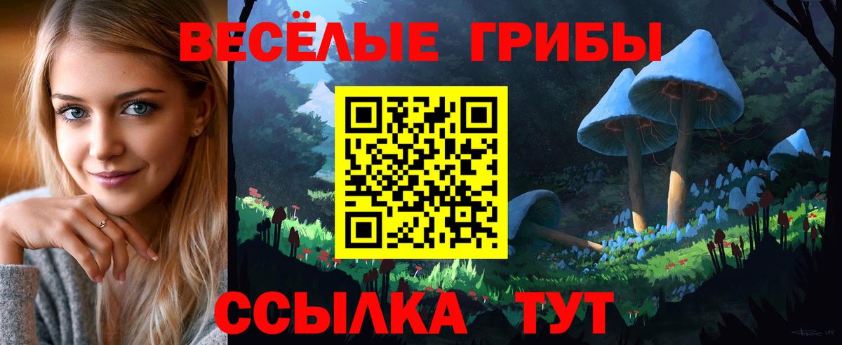 Галлюциногенные грибы Psilocybe Чебоксары