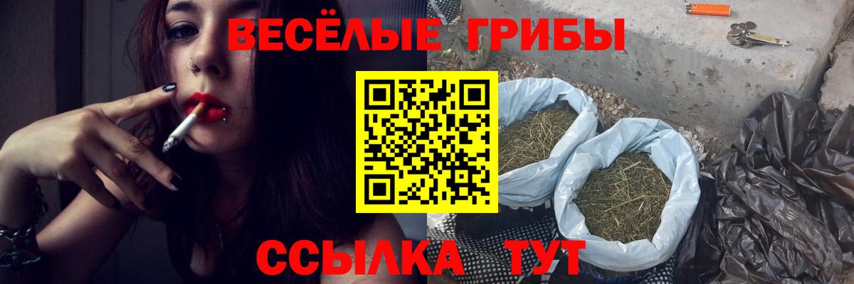 Псилоцибиновые грибы мицелий  Псилоцибиновые грибы ЛСД  Чебоксары  купить наркотик  Вход с VPN 